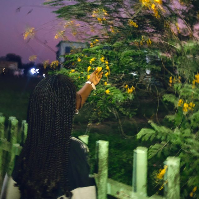 Elizabeth at the garden, the night before leaving